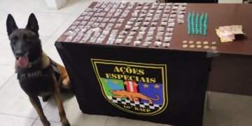 BAEP prende jovem por tráfico de drogas no Jardim das Orquídeas em Santa Bárbara d'Oeste