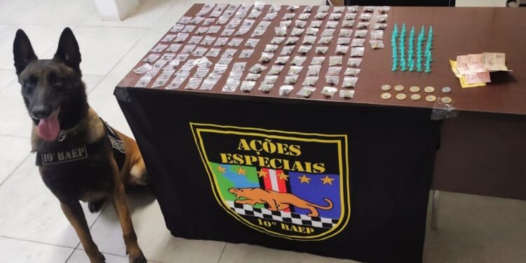 BAEP prende jovem por tráfico de drogas no Jardim das Orquídeas em Santa Bárbara d'Oeste