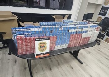 Polícia Civil/Deic deflagra operação e desmonta esquema de roubo de carga em SP