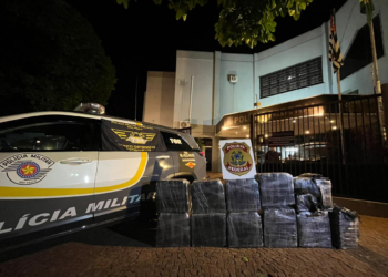 Casal é preso com quase 350 kg de cocaína no interior