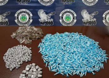 Grande quantidade de porções de drogas é apreendida em Santa Bárbara d'Oeste