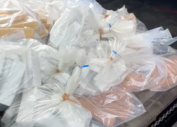 Cerca de 2 toneladas de drogas foram incineradas em Americana