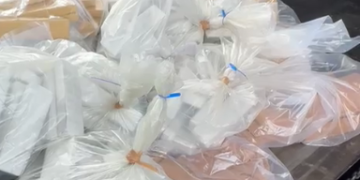 Cerca de 2 toneladas de drogas foram incineradas em Americana