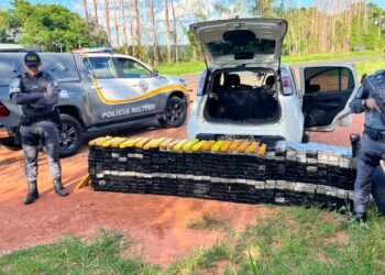 PM apreende mais de 420 quilos de maconha em Presidente Bernardes