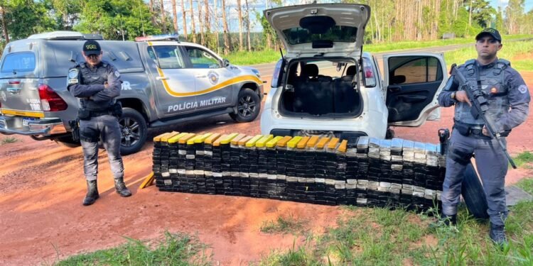 PM apreende mais de 420 quilos de maconha em Presidente Bernardes