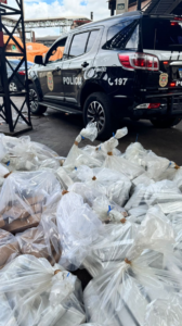 Toneladas de drogas são incineradas em Americana