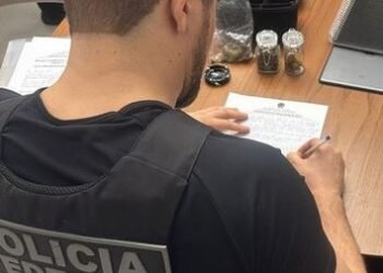 PF mira esquema de tráfico internacional via remessas postais no interior de São Paulo