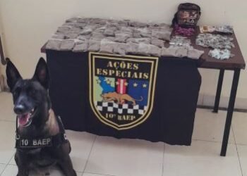 BAEP apreende mulher por tráfico de drogas