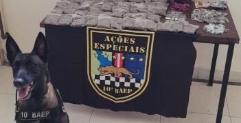 BAEP apreende mulher por tráfico de drogas