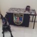 BAEP apreende mulher por tráfico de drogas