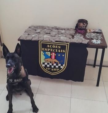 BAEP apreende mulher por tráfico de drogas