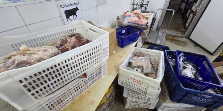DIG de Americana flagra carne estragada em açougue de Monte Mor