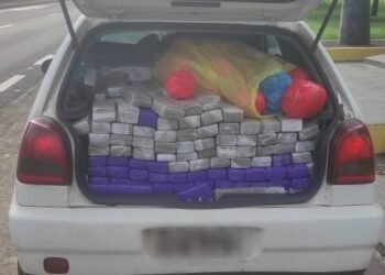 PMR apreende adolescente com mais de meia tonelada de maconha e skunk na Raposo Tavares