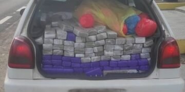 PMR apreende adolescente com mais de meia tonelada de maconha e skunk na Raposo Tavares