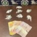 GCM apreende 70 porções de cocaína durante ação no Parque do Lago