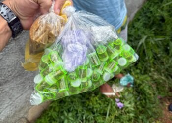 2ª DISE da DEIC prende vulgo Gordinho por tráfico de drogas no Jardim Oriente em Piracicaba