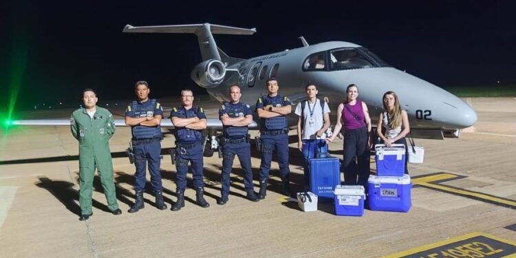 Ação emergencial da GCM garante transporte de órgãos para transplante em São Paulo