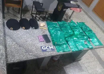 Ação da GCM resulta na apreensão de folhas de coca e pasta base na zona leste da capital