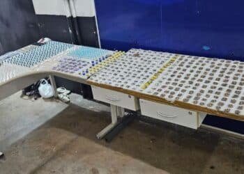 Mais de 800 porções de drogas são apreendidas pela Guarda Municipal em Campinas