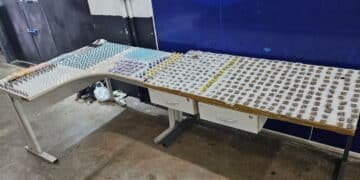 Mais de 800 porções de drogas são apreendidas pela Guarda Municipal em Campinas