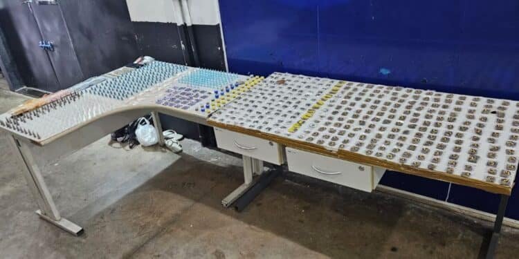 Mais de 800 porções de drogas são apreendidas pela Guarda Municipal em Campinas