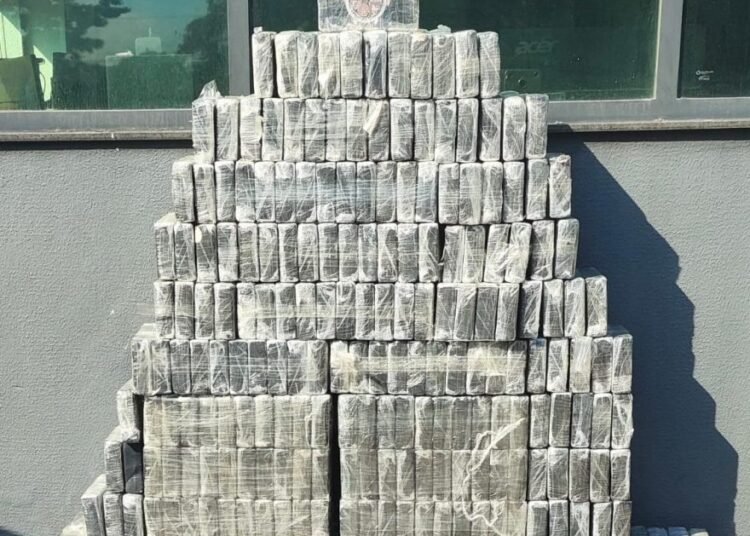 300 quilos de cocaína apreendidos pelo TOR organizados em tabletes empilhados. #PraCegoVer: A imagem mostra diversos tabletes retangulares de droga embalados em plástico transparente, empilhados em formato de pirâmide em frente a uma parede com janela de vidro. No topo da pilha há um brasão policial.