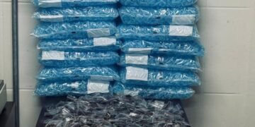 gcm apreende grande quantidade de drogas #PraCegoVer: sobre uma mesa estão diversos sacos plásticos com milhares de pinos azuis, além de embalagens com porções de drogas organizadas, ao fundo painel com símbolo do Apoio Tático da Guarda Civil Municipal