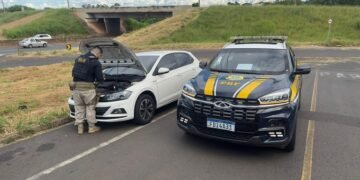 PRF recupera carro roubado na Bahia durante fiscalização em São José do Rio Preto #PraCegoVer policial rodoviário federal verifica veículo branco parado ao lado de viatura da PRF em rodovia