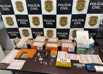 DIG prende criminosos por venda ilegal de produtos para emagrecimento #PraCegoVer agentes apreendendo produtos armazenados em geladeira em estabelecimento comercial, sendo os produtos aprensentados em uma mesa na delegacia especializada com banner da instituição de fundo.