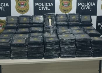 225 kg de cocaína em caminhão em Campinas #PraCegoVer: tabletes de droga apreendidos dentro de compartimento de caminhão durante operação policial.