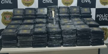 225 kg de cocaína em caminhão em Campinas #PraCegoVer: tabletes de droga apreendidos dentro de compartimento de caminhão durante operação policial.