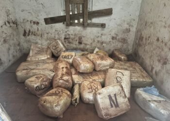 300 kg de drogas em construção abandonada em Serra Negra #PraCegoVer: fardos de drogas apreendidos organizados em área rural após ação policial com apoio de drone.