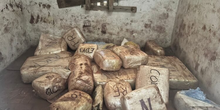 300 kg de drogas em construção abandonada em Serra Negra #PraCegoVer: fardos de drogas apreendidos organizados em área rural após ação policial com apoio de drone.