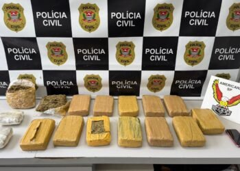 operação salerno apreende 15 quilos de maconha em sumaré #PraCegoVer: tijolos de maconha embalados sobre superfície após apreensão policial