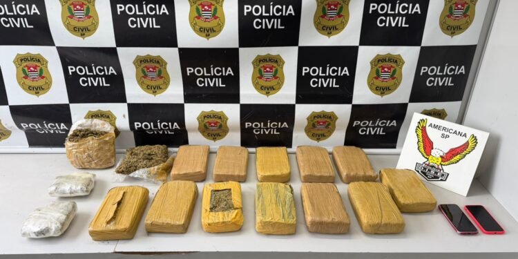 operação salerno apreende 15 quilos de maconha em sumaré #PraCegoVer: tijolos de maconha embalados sobre superfície após apreensão policial