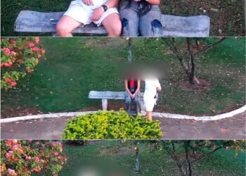 guarda municipal apreende simulacro de arma na praça da luz #PraCegoVer: imagem mostra um simulacro de arma semelhante a pistola sobre uma superfície, apreendido durante abordagem da Guarda Municipal