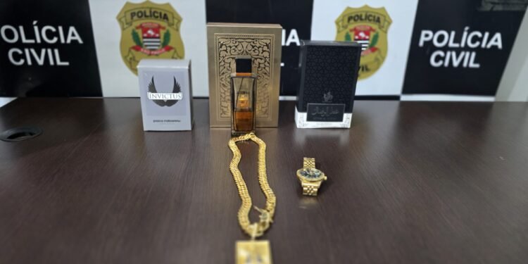 DIG prende criminoso por furto em residência após escalada de telhado em Santa Bárbara d’Oeste