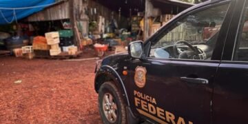 operação De Lunes a Lunes contra trabalho escravo no Paraná #PraCegoVer: agentes da Polícia Federal durante ação de fiscalização em imóvel onde famílias estrangeiras foram resgatadas em condições degradantes no Paraná.
