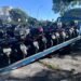 mega operação Cavalo de Aço #PraCegoVer: imagem mostra caminhão-guincho carregado com diversas motocicletas removidas durante fiscalização do CPTran em São Paulo.