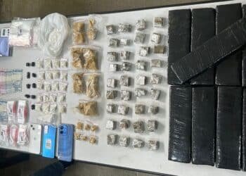 traficante com drogas no Solo Sagrado #PraCegoVer imagem mostra a tela de uma planilha aberta em computador, com abas e campos de controle de licença, usada apenas como imagem ilustrativa.
