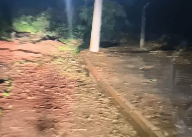 ROMU resgata criança presa em lamaçal — #PraCegoVer: guarda municipal atravessa uma área de mata durante o resgate de um menino de 11 anos que estava atolado e sem conseguir se movimentar.