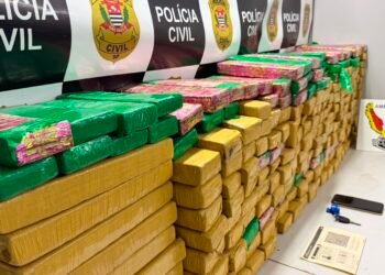 DISE apreende 257 quilos de maconha na operação Trevo em Monte Mor