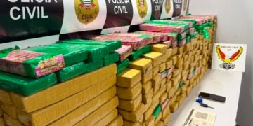 DISE apreende 257 quilos de maconha na operação Trevo. #PraCegoVer: policiais civis exibem os tijolos de maconha apreendidos ao lado de uma carreta branca utilizada no transporte da droga durante operação realizada em Monte Mor.