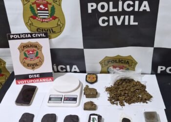 DISE faz prisão por tráfico de drogas em Votuporanga e apreende drogas de alto teor de THC