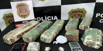 Maconha apreendida pela DISE durante a Operação Sufoco II em Votuporanga