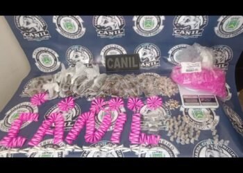 Canil da GCM apreende drogas no Santa Fé #PraCegoVer imagem mostra porções de drogas apreendidas, balança de precisão e embalagens localizadas durante ação do Canil da GCM em área verde