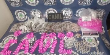 Canil da GCM apreende drogas no Santa Fé #PraCegoVer imagem mostra porções de drogas apreendidas, balança de precisão e embalagens localizadas durante ação do Canil da GCM em área verde