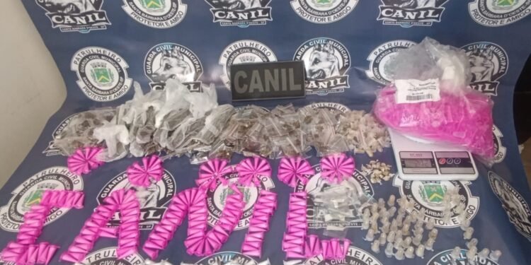 Canil da GCM apreende drogas no Santa Fé #PraCegoVer imagem mostra porções de drogas apreendidas, balança de precisão e embalagens localizadas durante ação do Canil da GCM em área verde
