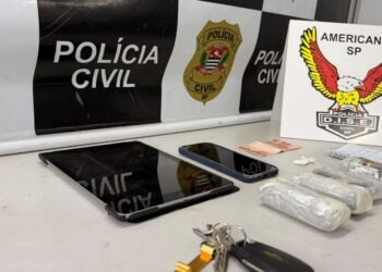 Operação Monte Belo apreende drogas em Campinas - #PraCegoVer: imagem ilustrativa de operação da Polícia Civil contra o tráfico de drogas, com apreensão de entorpecentes e objetos usados na investigação.