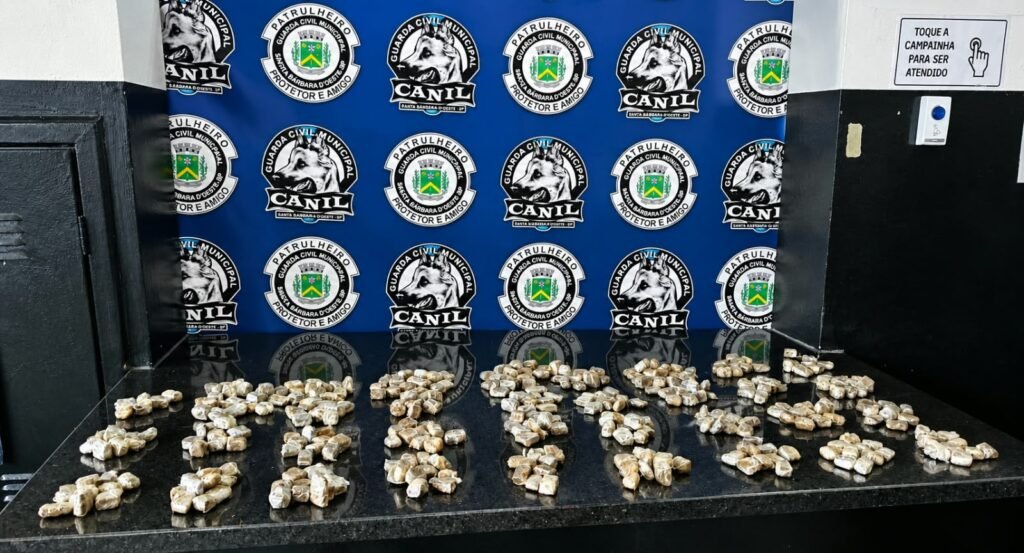376 porções de maconha apreendidas pelo Canil da GCM em Santa Bárbara d'Oeste. #PraCegoVer: Registro da apreensão de drogas realizada pela Guarda Civil Municipal após trabalho de faro da cadela Kira.